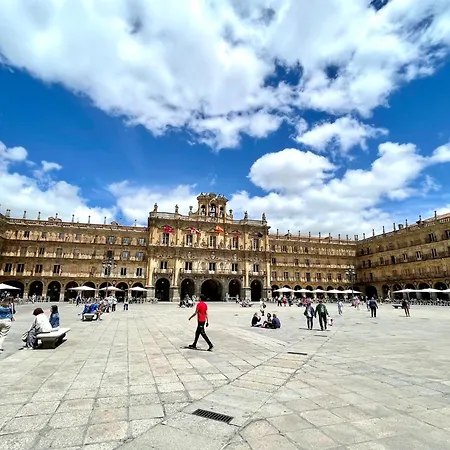 Dau Centro Free Parking Ii Apartment *